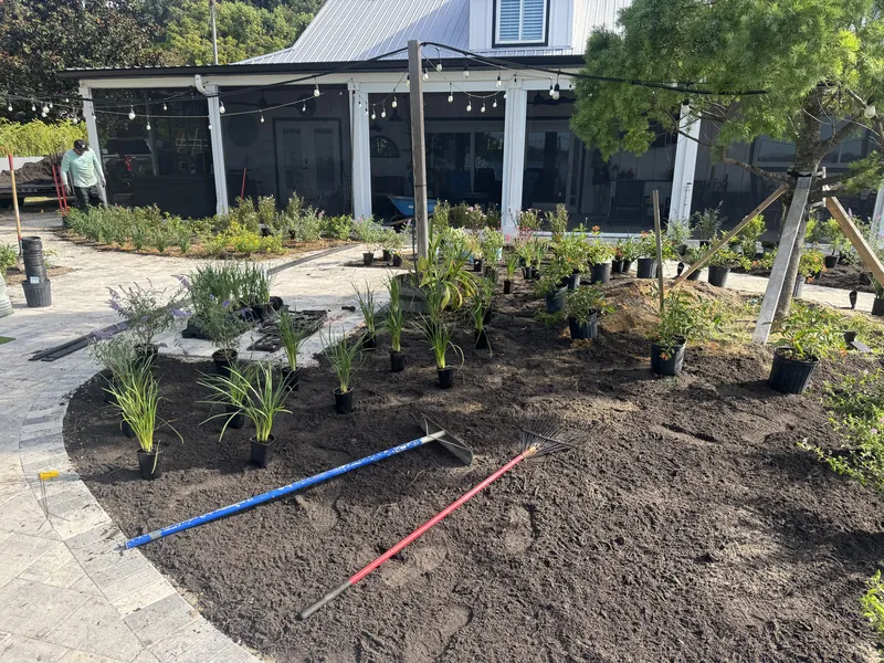 Plants being laid out in prepared backyard beds