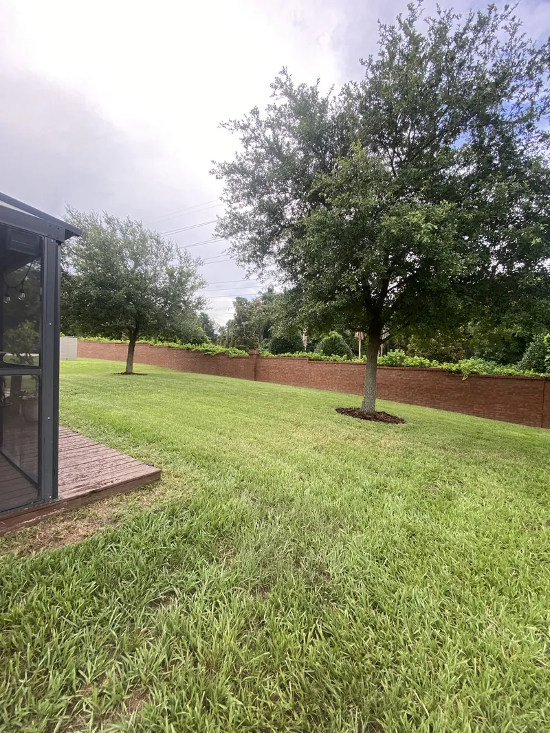 Maintained backyard lawn with trees and a planted border