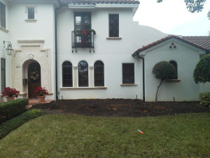 Before picture of a landscaping redesign in Winter Park